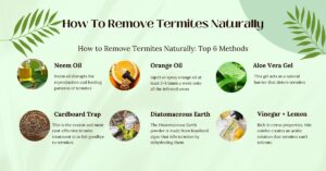 How To Remove Termites Naturally