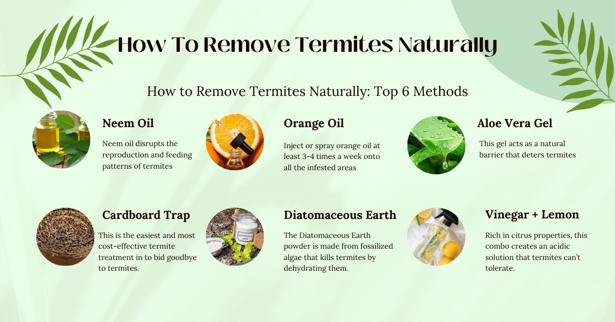How To Remove Termites Naturally