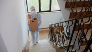 Residential Pest Control in Gurgaon
