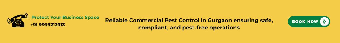 Commercial Pest Control in Gurgaon