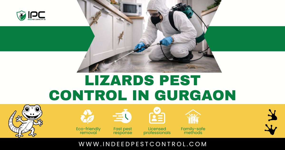 Lizards Pest Control in Gurgaon