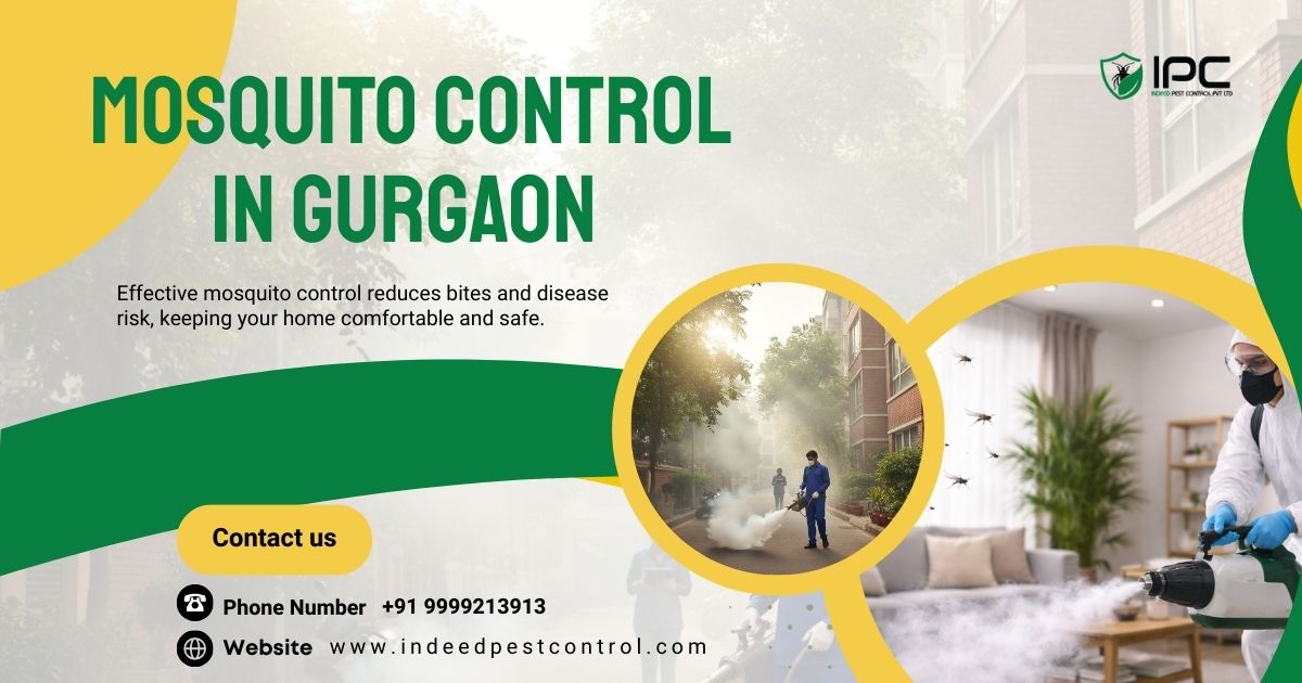 Mosquito Control in Gurgaon