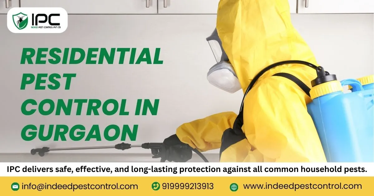 Residential Pest Control in Gurgaon