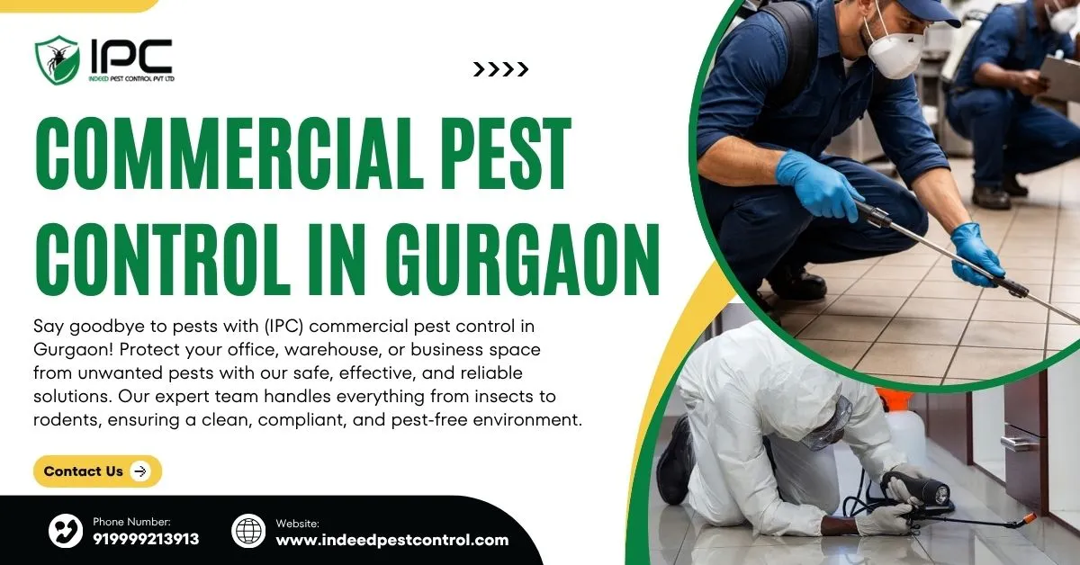 commercial pest control in gurgaon