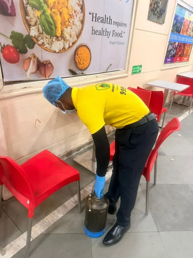 Technician is doing pest control Gurgaon, Expert pest control services in gurgaon