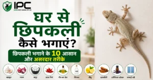 घर से छिपकली कैसे भगाएं