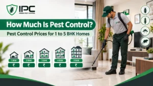 How Much Is Pest Control