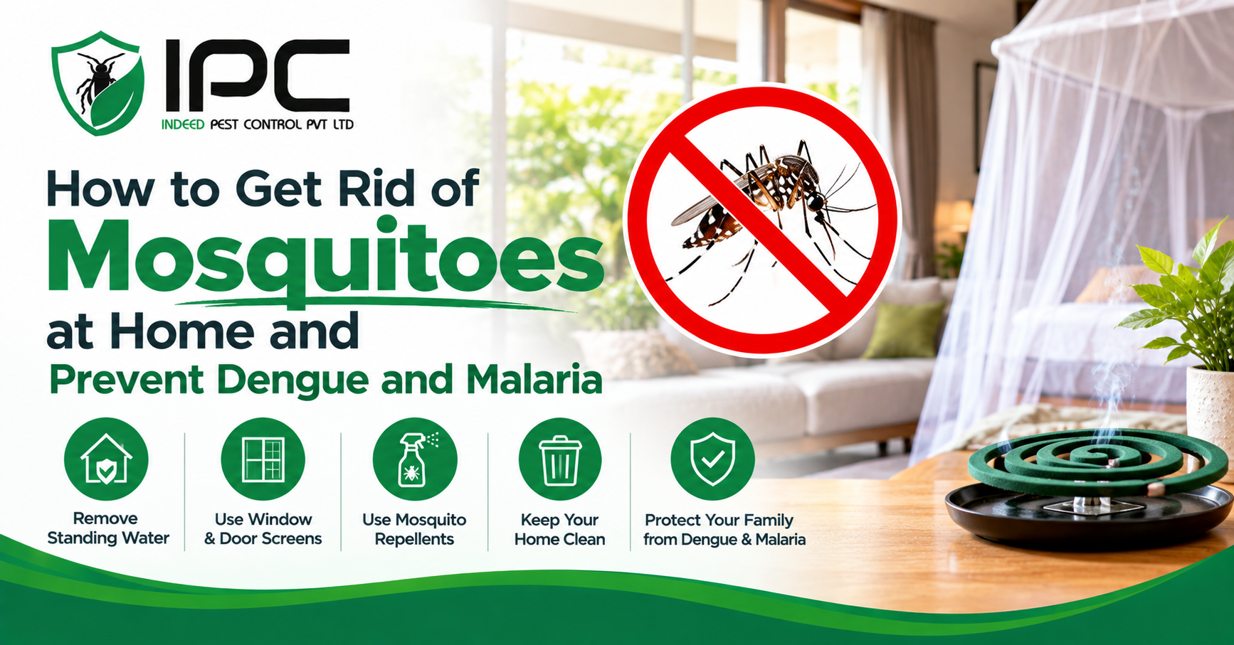How to Get Rid of Mosquitoes at Home and Prevent Dengue and Malaria