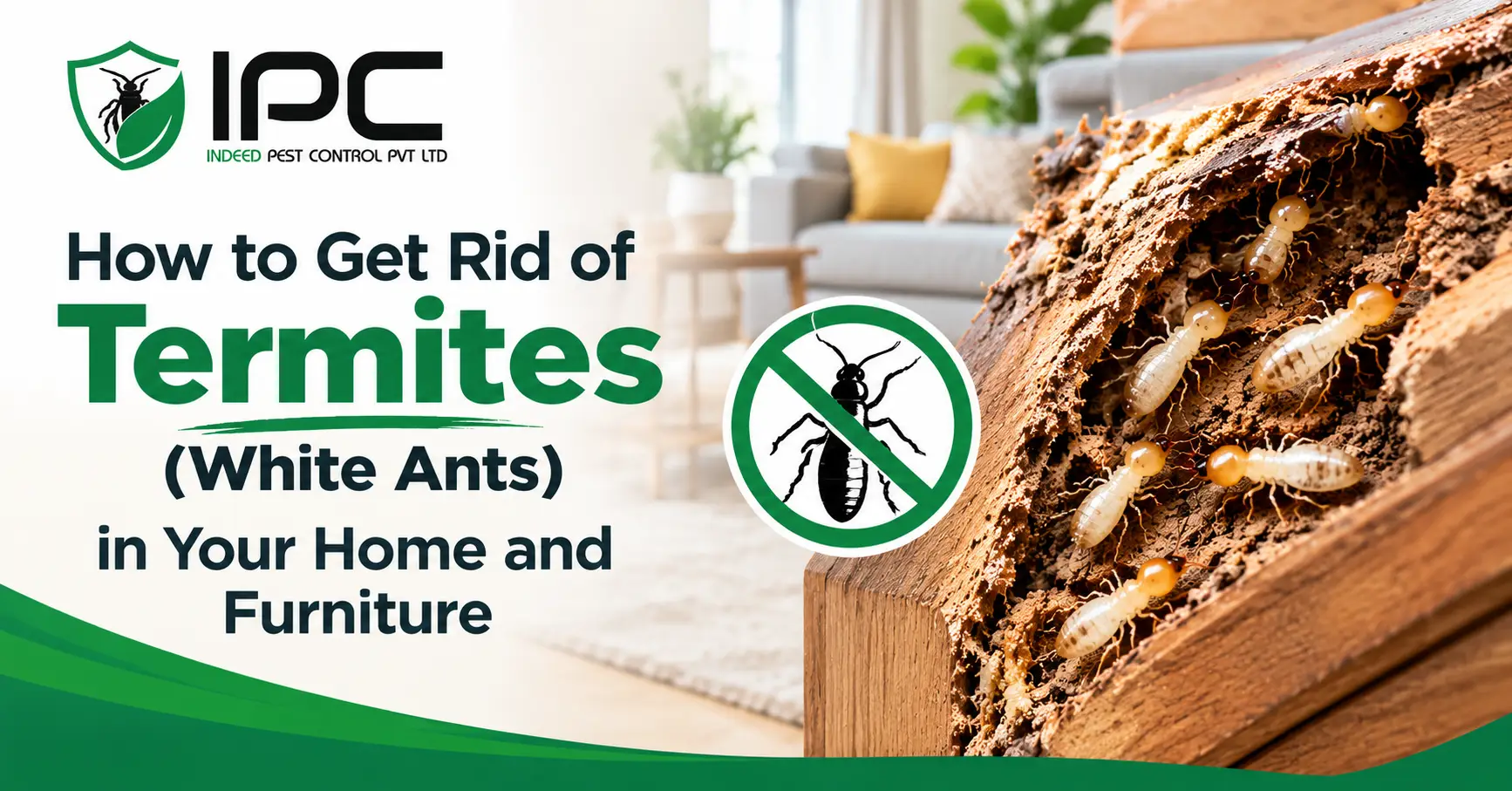 How to Get Rid of Termites