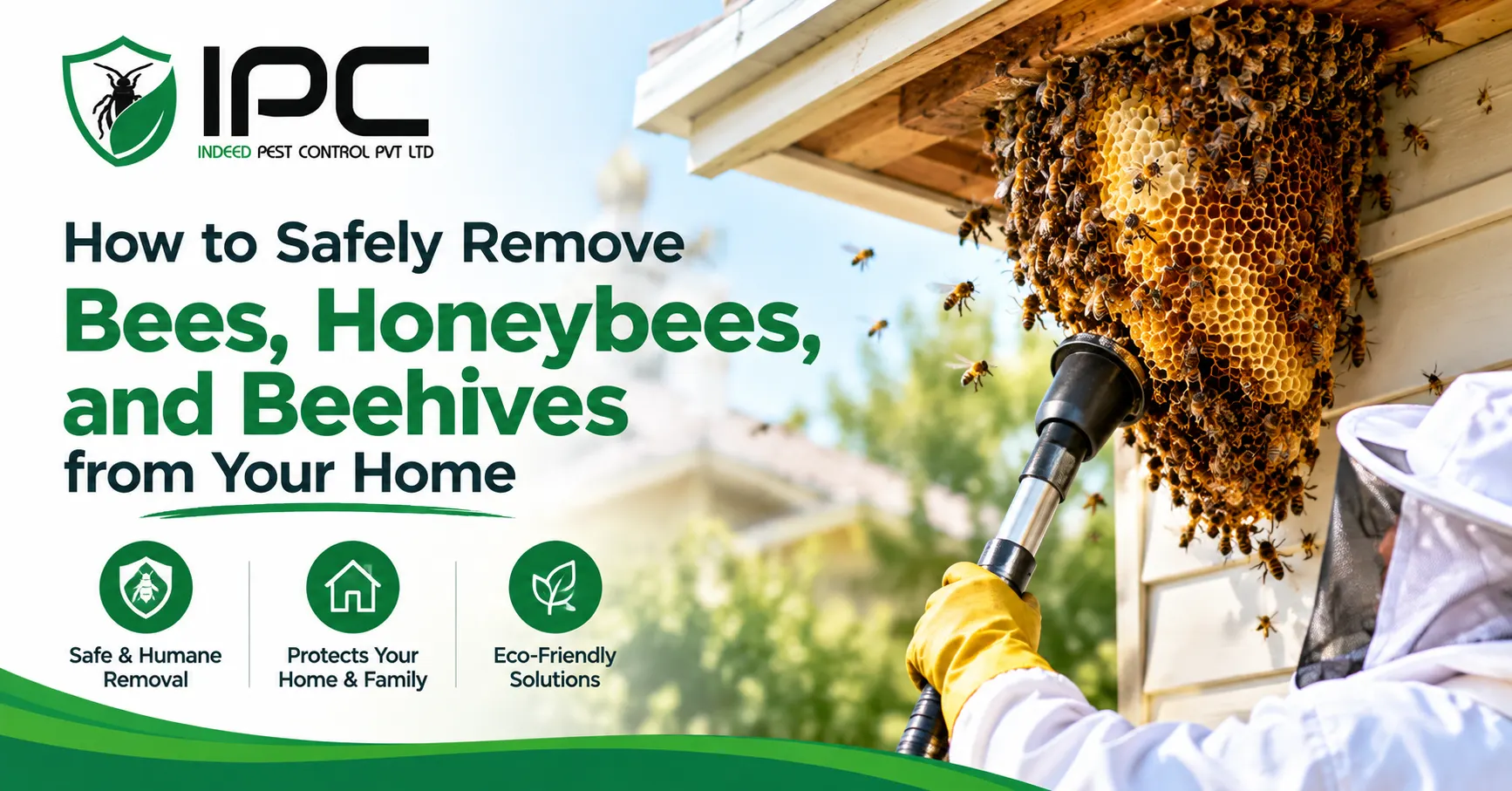 How to Safely Remove Bees